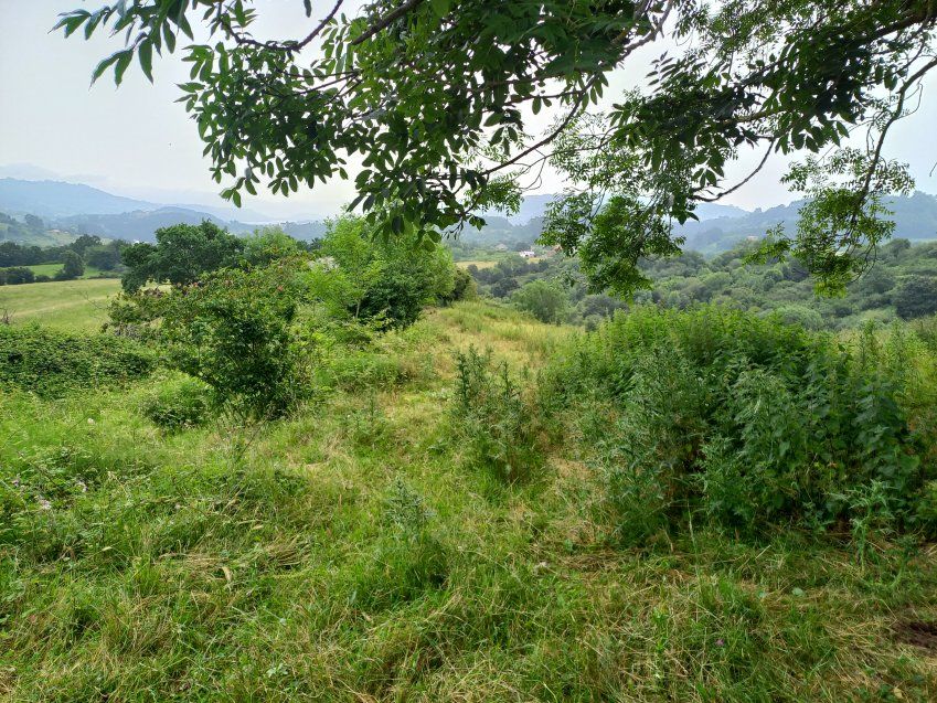 Finca con nave en VILLAVICIOSA  (FIN