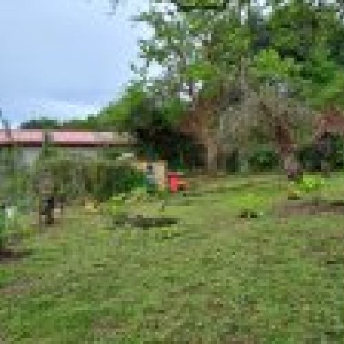 Casa de piedra para rehabilitar en VILLAVICIOSA  (REAB