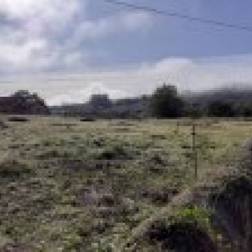 Finca edificable y parcelable en Pintueles   PILOÑA  (FIN