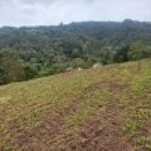 Finca edificable en CABRANES