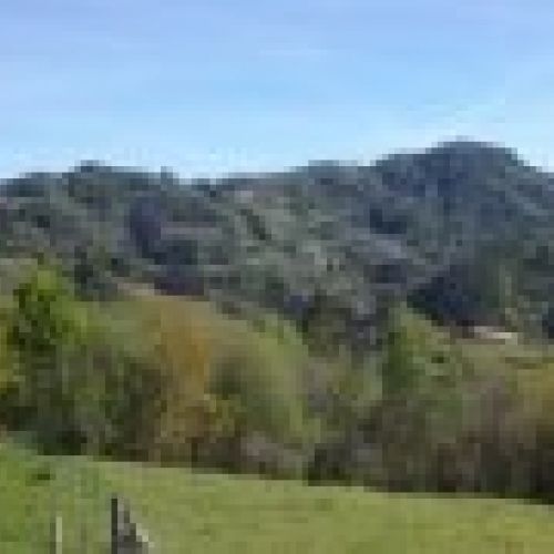 Finca edificable en CABRANES  (FIN