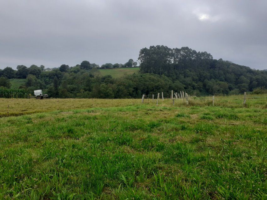 1688937eb03bedbc446058707a890943364045c9