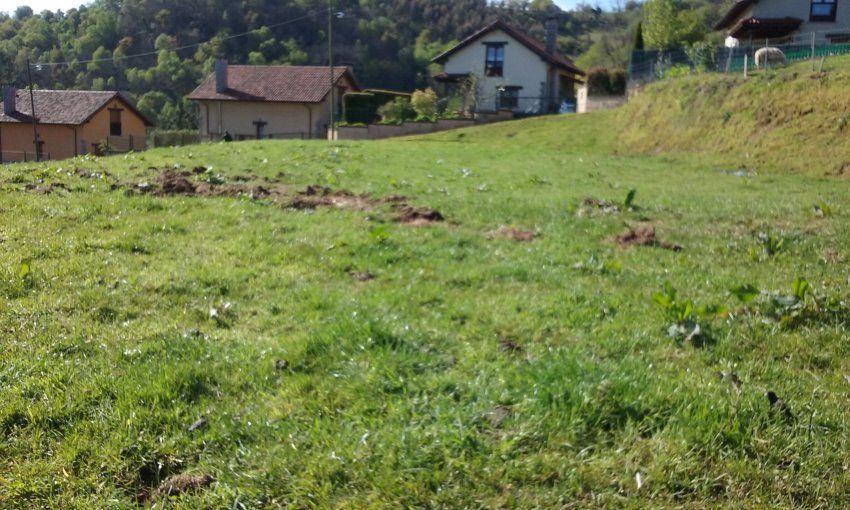 Finca edificable en CABRANES  (FIN