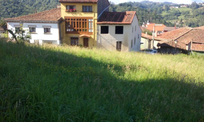 Finca edificable en el centro del casco urbano de Santolaya   CABRANES  (FIN