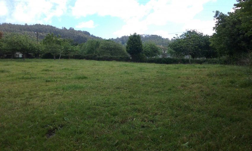 2 Fincas edificables en Selorio   VILLAVICIOSA  (FIN