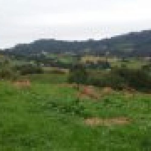 Casa de piedra para rehabilitar en VILLAVICIOSA  (REAB