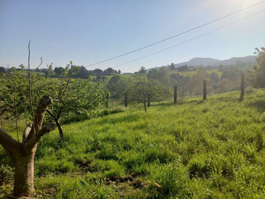 e57464bdaeb29ba9d5bde487c1818adee6512860