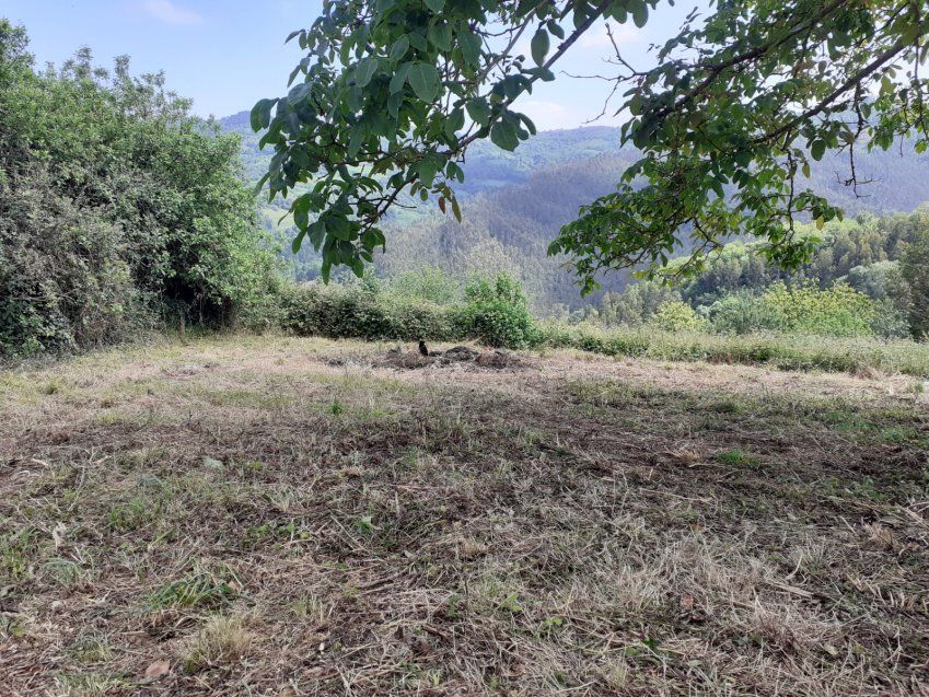Casa de piedra para reformar en VILLAVICIOSA  (REAB