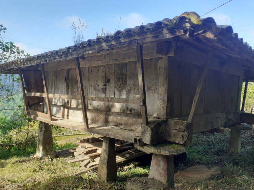 Hórreo con finca en VILLAVICIOSA  (REAB