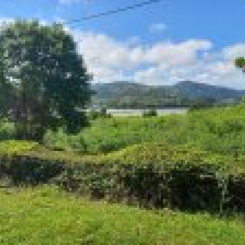 2 Fincas edificables en El Puntal   VILLAVICIOSA  (FIN