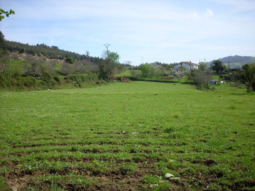 Venta de fincas edificables en El Puntal (VILLAVICIOSA)