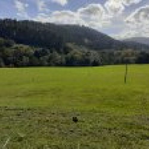 Fincas edificables a 4kms