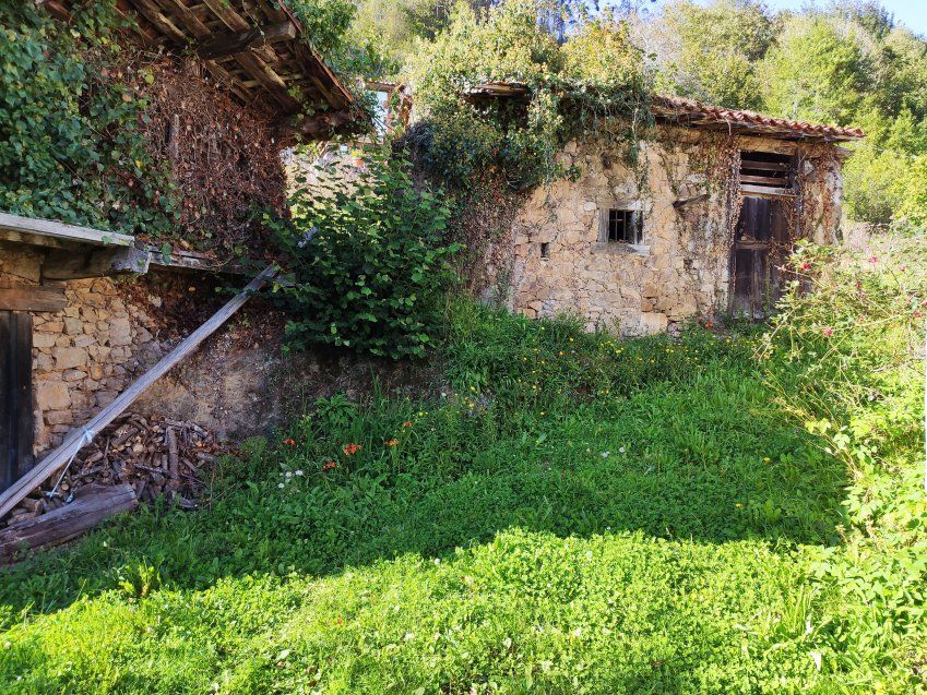 Casa de piedra para rehabilitar en VILLAVICIOSA (REAB