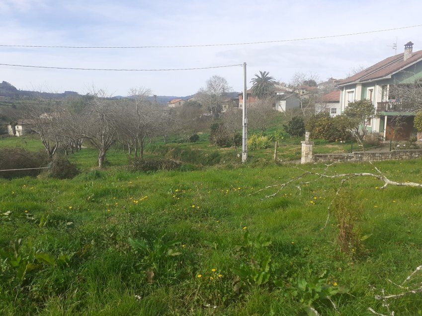 Finca edificable en Selorio   VILLAVICIOSA  (FIN