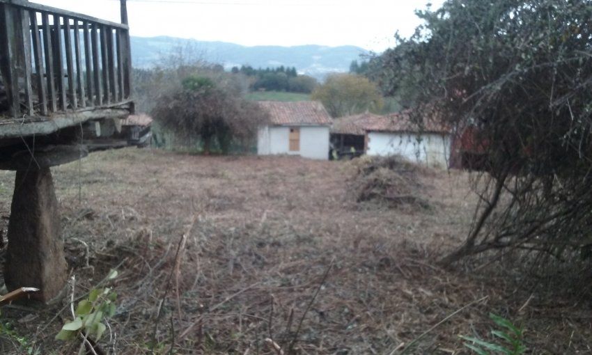 Finca edificable con Panera en Villaviciosa  (FIN