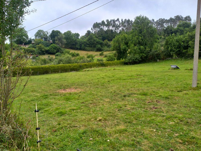 150be910404877e4df52b0cb7186c42c950ffb59