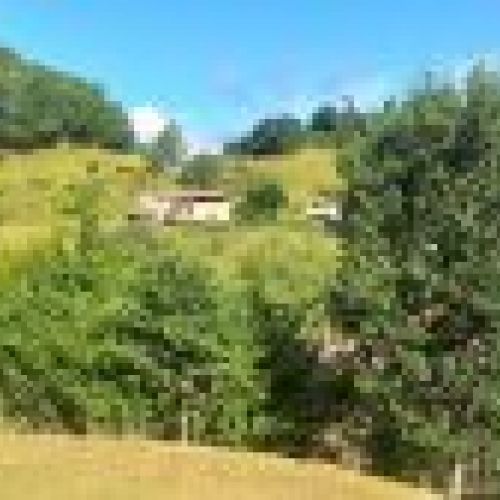 Finca edificable en VILLAVICIOSA  (FIN