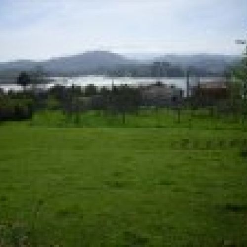 Venta de fincas edificables en El Puntal (VILLAVICIOSA)