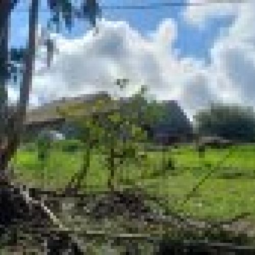 Casa de piedra con Cuadras y Llagar para reformar en Quintueles VILLAVICIOSA (REAB