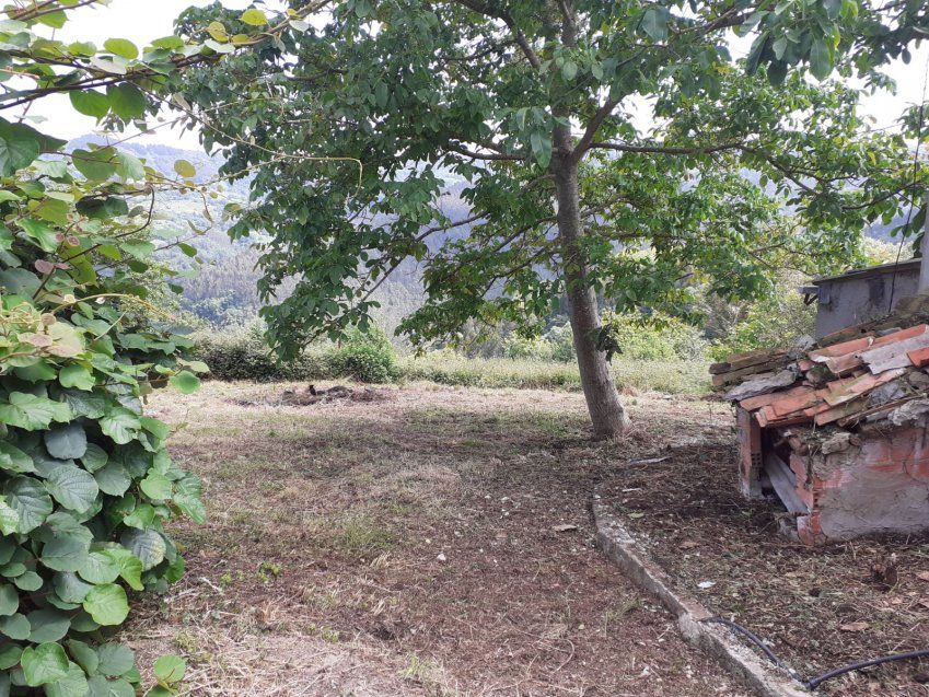 Casa de piedra para reformar en VILLAVICIOSA  (REAB