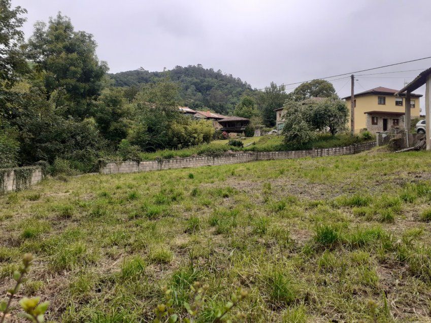 Finca edificable y Cuadra en CABRANES  (FIN