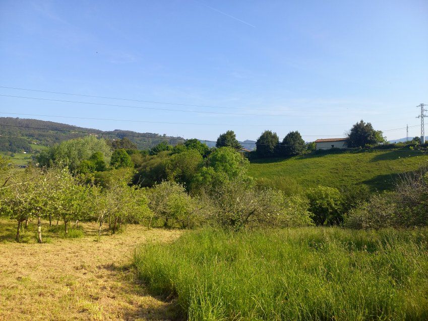 Finca edificable de 3