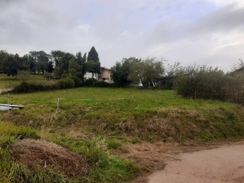 1a0698cc3b5d38ca3b9c130ca2456c3e60463774