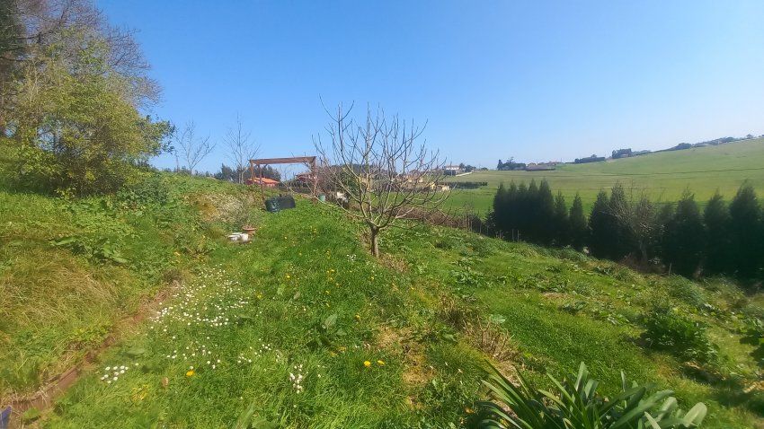 Finca edificable de 630m2