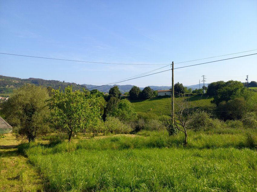 Finca edificable de 3