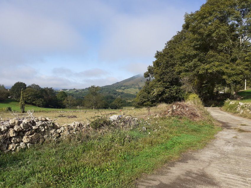 Finca edificable y parcelable en Pintueles   PILOÑA  (FIN