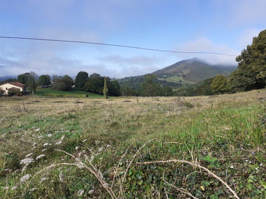 Finca edificable y parcelable en Pintueles   PILOÑA  (FIN