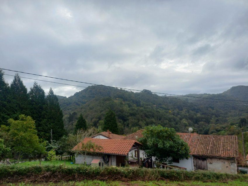 Finca edificable en CABRANES  (FIN