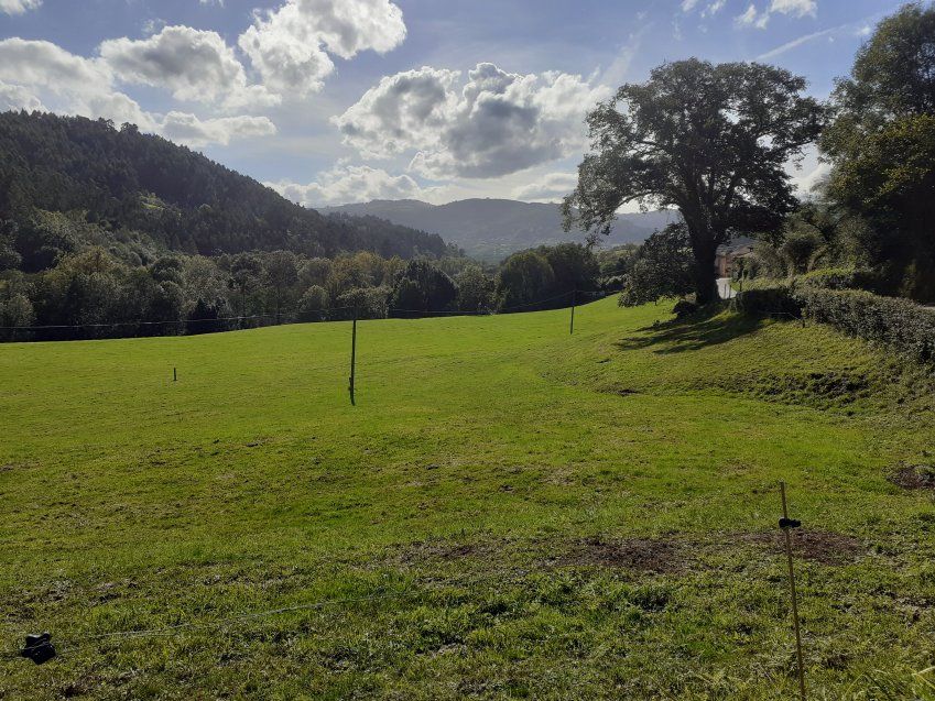 7bda95fdc74acecc86e6f5eae7f00b334fa04b22