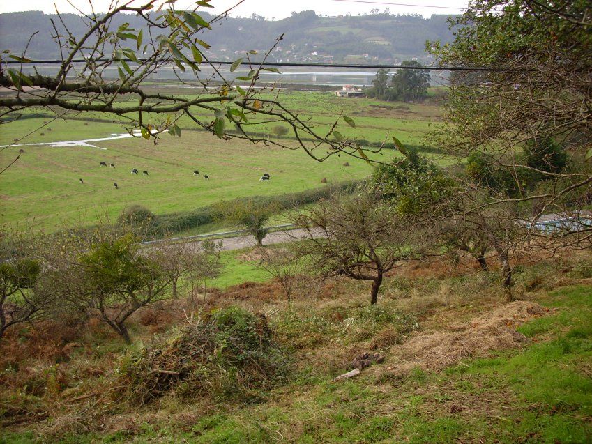 Casa independiente en El Picu Selorio (VILLAVICIOSA)(CAS