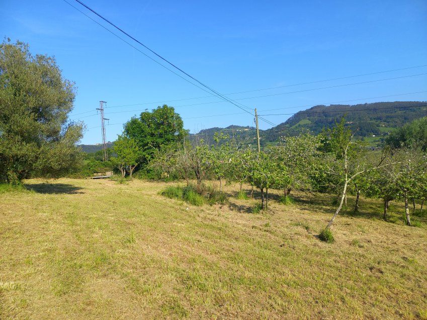 7183a722a62e34417303a698b9186e3dc8d3cb05