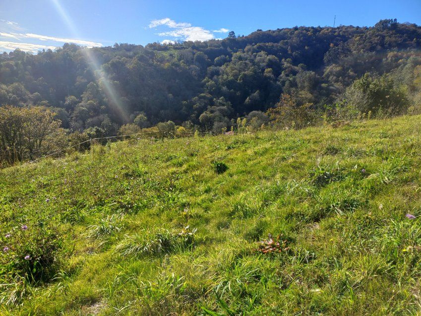 d75952f5653eaf208205058ca22632e56393cbb3