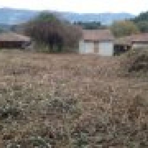 Finca edificable con Panera en Villaviciosa  (FIN
