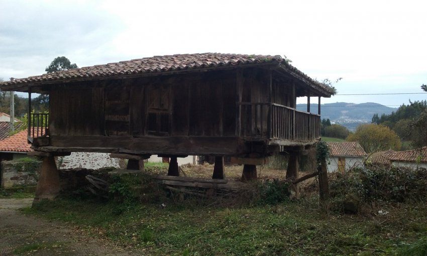 Finca edificable con Panera en Villaviciosa  (FIN