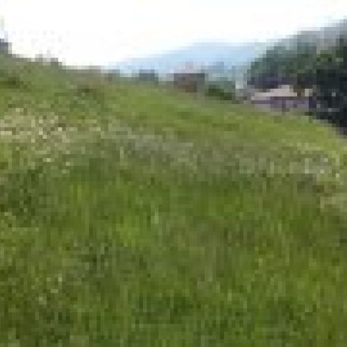 Fincas edificables en VILLAVICIOSA  (FIN
