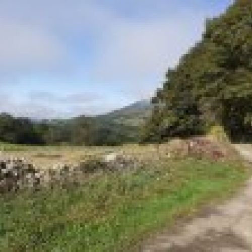 Finca edificable y parcelable en Pintueles   PILOÑA  (FIN