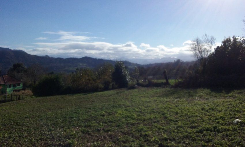 Finca edificable con una superficie de 970m2