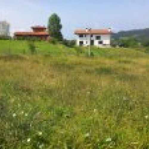 Finca edificable en zona de Selorio   VILLAVICIOSA  (FIN