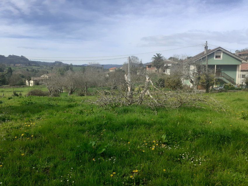Finca edificable en Selorio   VILLAVICIOSA  (FIN