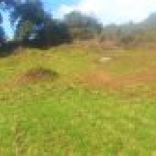 Finca edificable en El Puntal   VILLAVICIOSA (FI