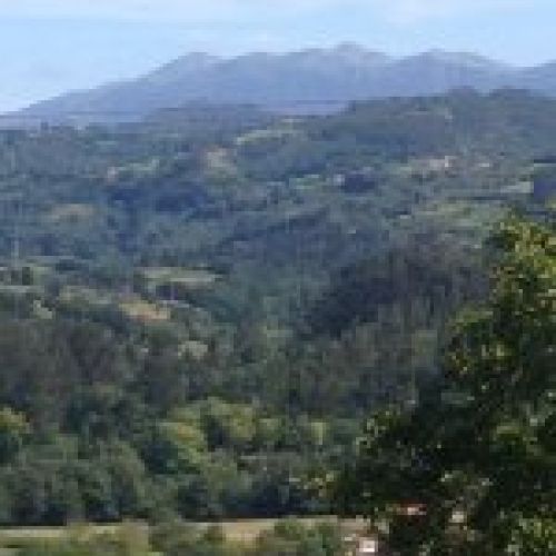 Venta de finca edificable en Villaviciosa  (FIN