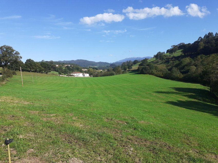 6a59373e7cc8b35909a8f8f2504c5bc087770f54