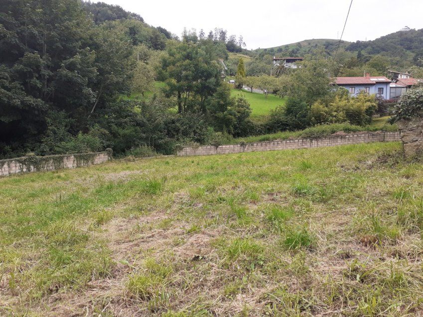 Finca edificable y Cuadra en CABRANES  (FIN