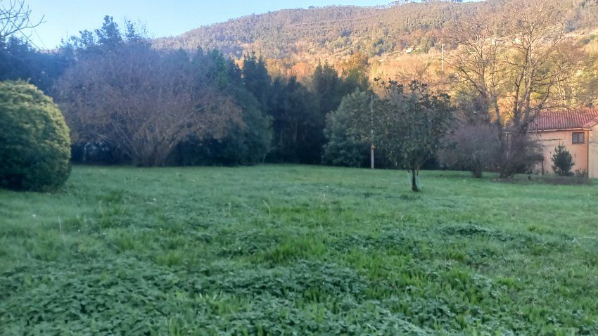 Finca edificable en Valdediós   VILLAVICIOSA  (FIN.0166)