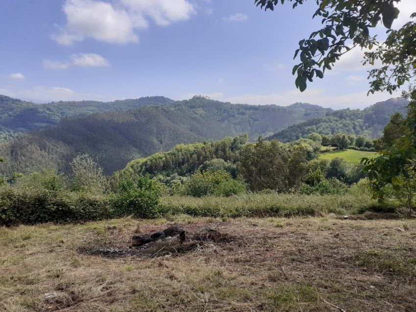 Casa de piedra para reformar en VILLAVICIOSA  (REAB