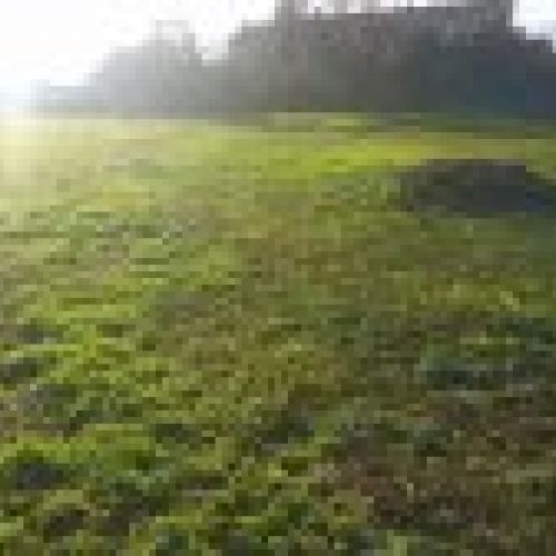 Finca edificable en Oles VILLAVICIOSA (FIN